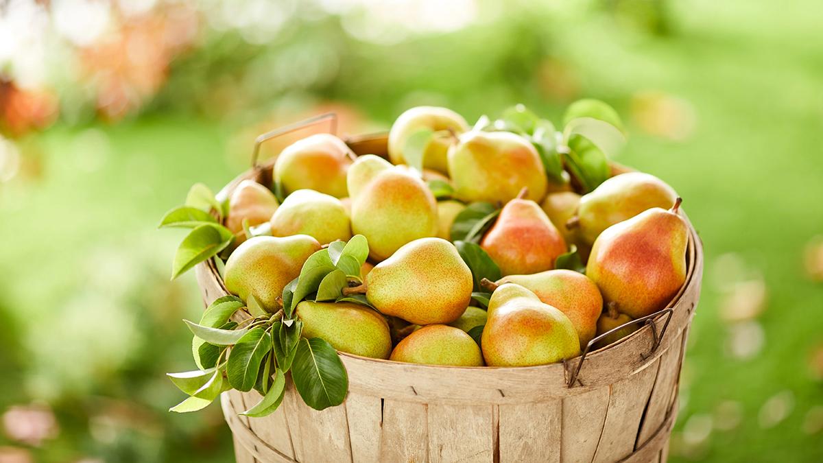 benefits of fish pears hero