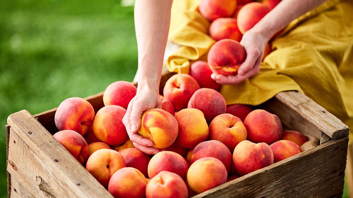 types-of-peaches-crate-hero.jpg