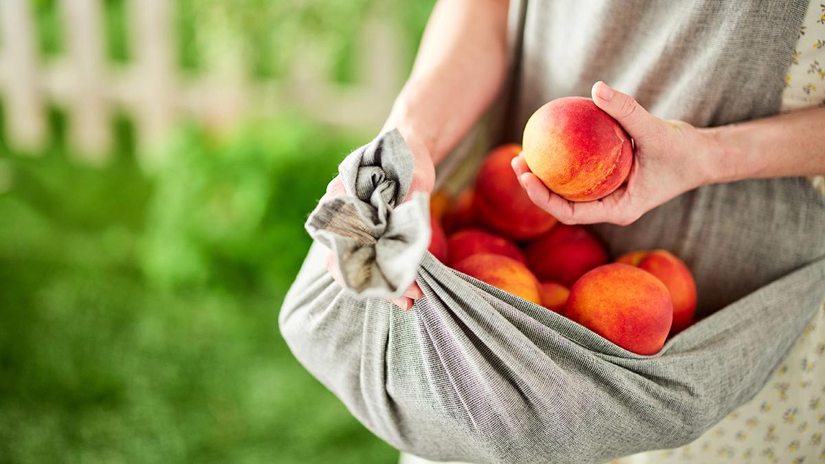peach-harvest-in-apron.jpg
